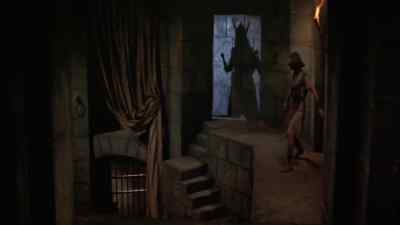 Guard, take your men down
that corridor, and I'll take this one. - Prince Valiant