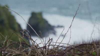 Guernsey is a quaint
pastoral island - Secret Nazi Ruins