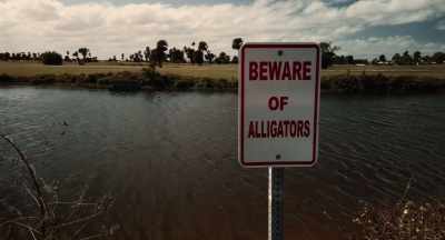 Guess I was lucky
the gators didn't find me - Aileen Wuornos: American Boogeywoman
