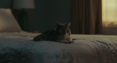 ♪ Guess I'll wait
Til you're home... ♪ - A Man Called Otto