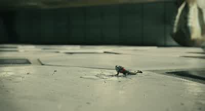 Guess you're tougher than you thought. - Ant Man