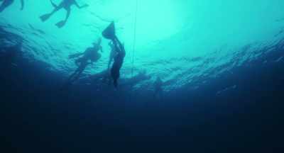 GUILLAUME: [IN ENGLISH]
I remember - Freediver