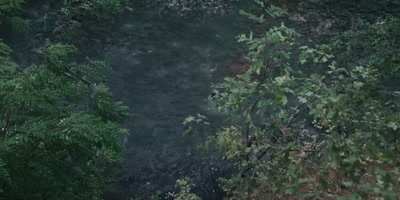 [gun firing] - River Wild