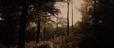 (gun firing) - Deep Woods