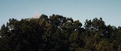 (gun firing twice) - Deep Woods