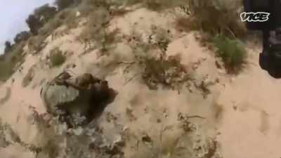 [ Gunfire ] - While The Rest Of Us Die
