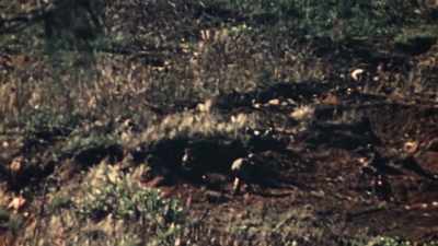 [GUNFIRE] - The Pacific War in Color