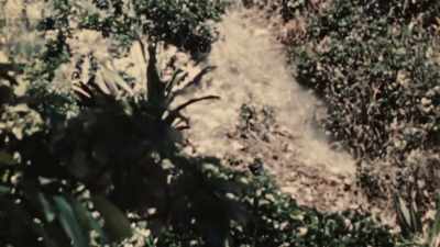 [GUNFIRE] - The Pacific War in Color