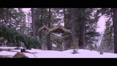 (guns firing) - Savage Creatures