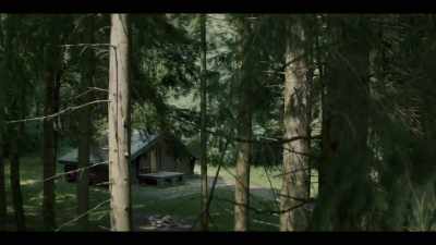 GUNSHOT AND SCREAMING - The Couple Next Door