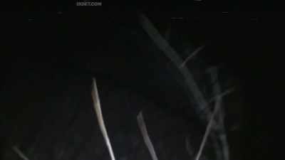 (gunshot)
(buzzing) - The Fear Footage