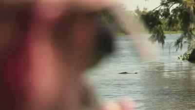             [gunshot] - Swamp People