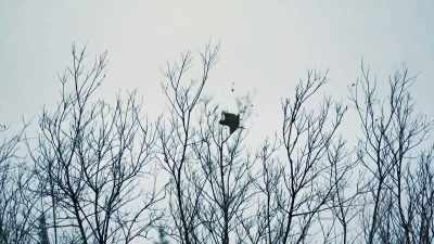 (gunshot) - Life Below Zero: First Alaskans