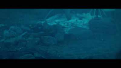 [gunshot] - Paradise