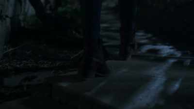 [gunshot] - Chaos on the Farm