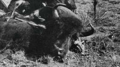 [Gunshot] - The American Buffalo