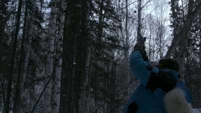 [gunshot] - Life Below Zero: Next Generation