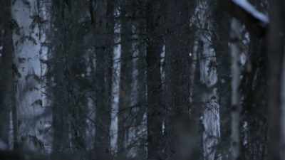[gunshot] - Life Below Zero: Next Generation