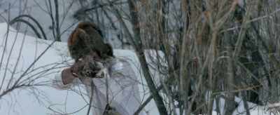 [gunshot] - The Great Alaskan Race