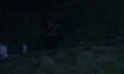 (Gunshots) - The Beast Must Die