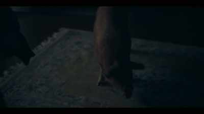 - [GUNTHER OINKS] - Mystic