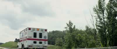 Gustavo, we found him. - The Mule
