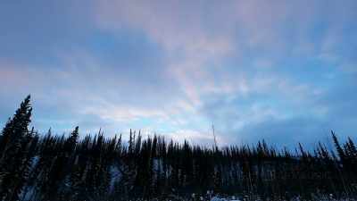 (gusting winds) - Life Below Zero: First Alaskans