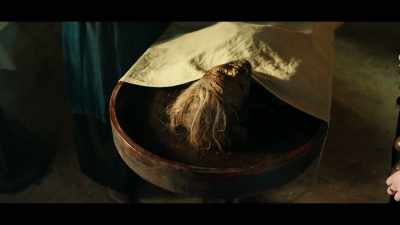 [Guy] I have examined the body carefully. - Shardlake