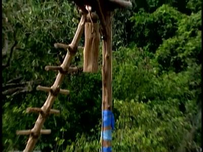 Guys are making good progress. - Survivor