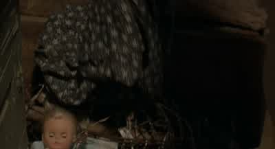 Guys, guys, check this out. - Wrong Turn