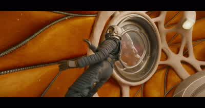Guys? I mean, you wanna talk about a sweet ride? - Guardians of the Galaxy Vol. 3