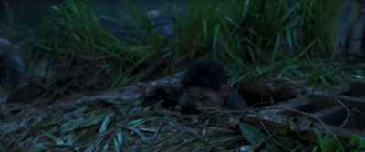 Guys, send Mera up!
Send him up. We're good. - Ambush