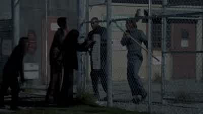 Guys, they're back. - The Walking Dead