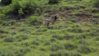 GYPSY:
Now, we definitely want to check
around these rocks - Beyond Oak Island