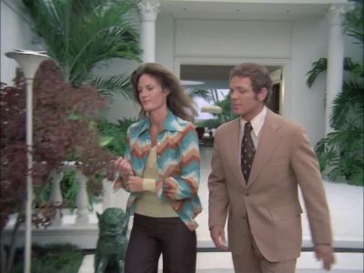 H.P.D. will leave a man. - Hawaii Five-O