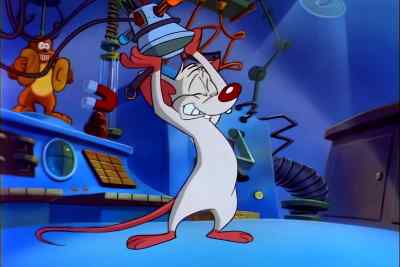 HA HA HA! - Pinky and the Brain