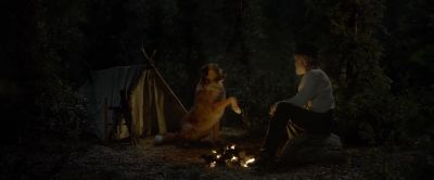 Ha. What are you doing? - The Call of the Wild