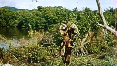Had anyone in England met such an odd creature - Robinson Crusoe