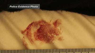 Had we not got the fingerprint
back, I don't know. - Final Moments