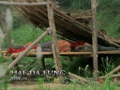 HAE DA FUNG DAY 28 - Survivor