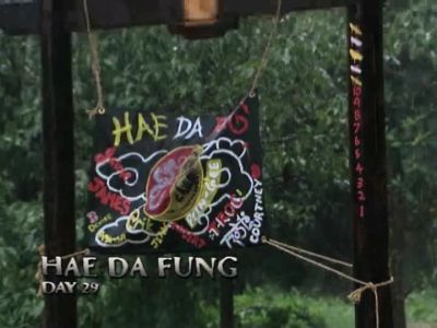 HAE DA FUNG DAY 29 - Survivor