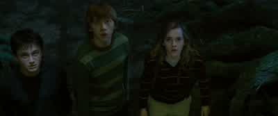 HAGRID: Grawpy, that is not polite. - Harry Potter and the Order of the Phoenix