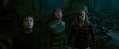 HAGRID: I couldn't just leave him, because-- Because he's my brother. - Harry Potter and the Order of the Phoenix