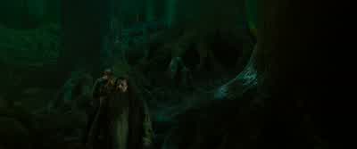 HAGRID: I've never seen the centaurs so riled. - Harry Potter and the Order of the Phoenix