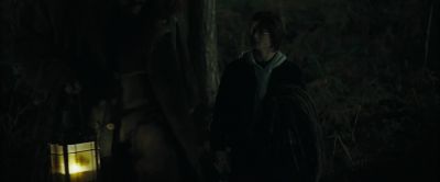 Hagrid? - Harry Potter and the Goblet of Fire