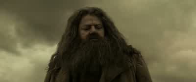 Hagrid, the last thingI wish to be is indelicate... - Harry Potter and the Half Blood Prince