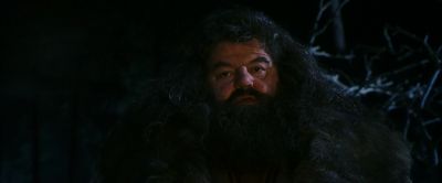 Hagrid, what is that? - Harry Potter and the Philosopher's Stone