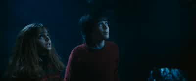 Hagrid, who gave you the dragon egg? - Harry Potter and the Philosopher's Stone