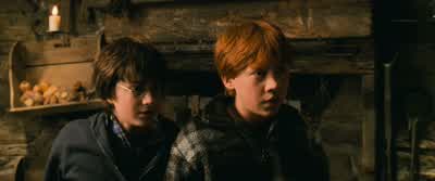 Hagrid's right. - Harry Potter and the Chamber of Secrets
