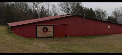 - Haleye's gonna help us figure this out. - Christmas at the Ranch